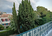 Photo 28