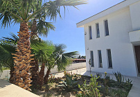 Photo 48