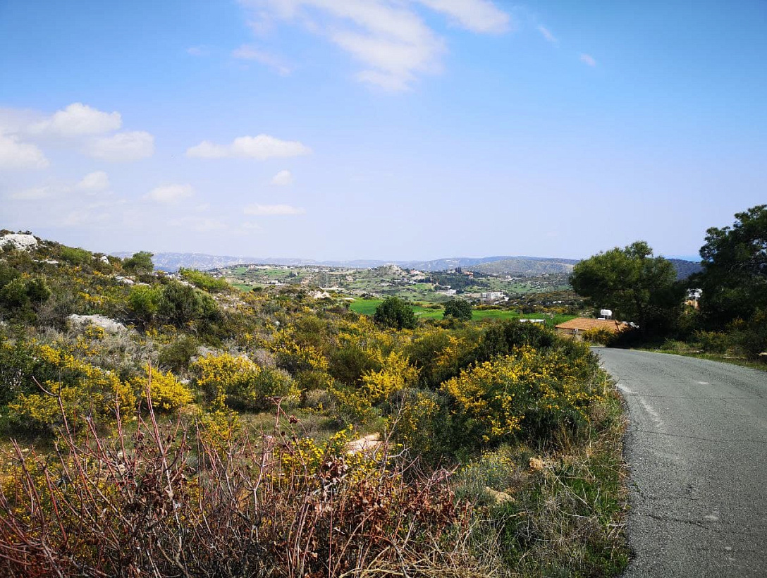 Land in Limassol