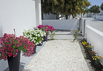 Фото 46