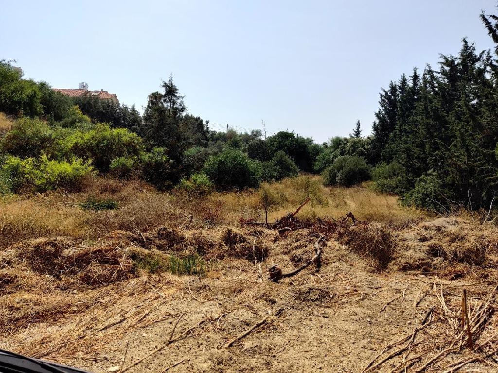 Земля в Лимассоле