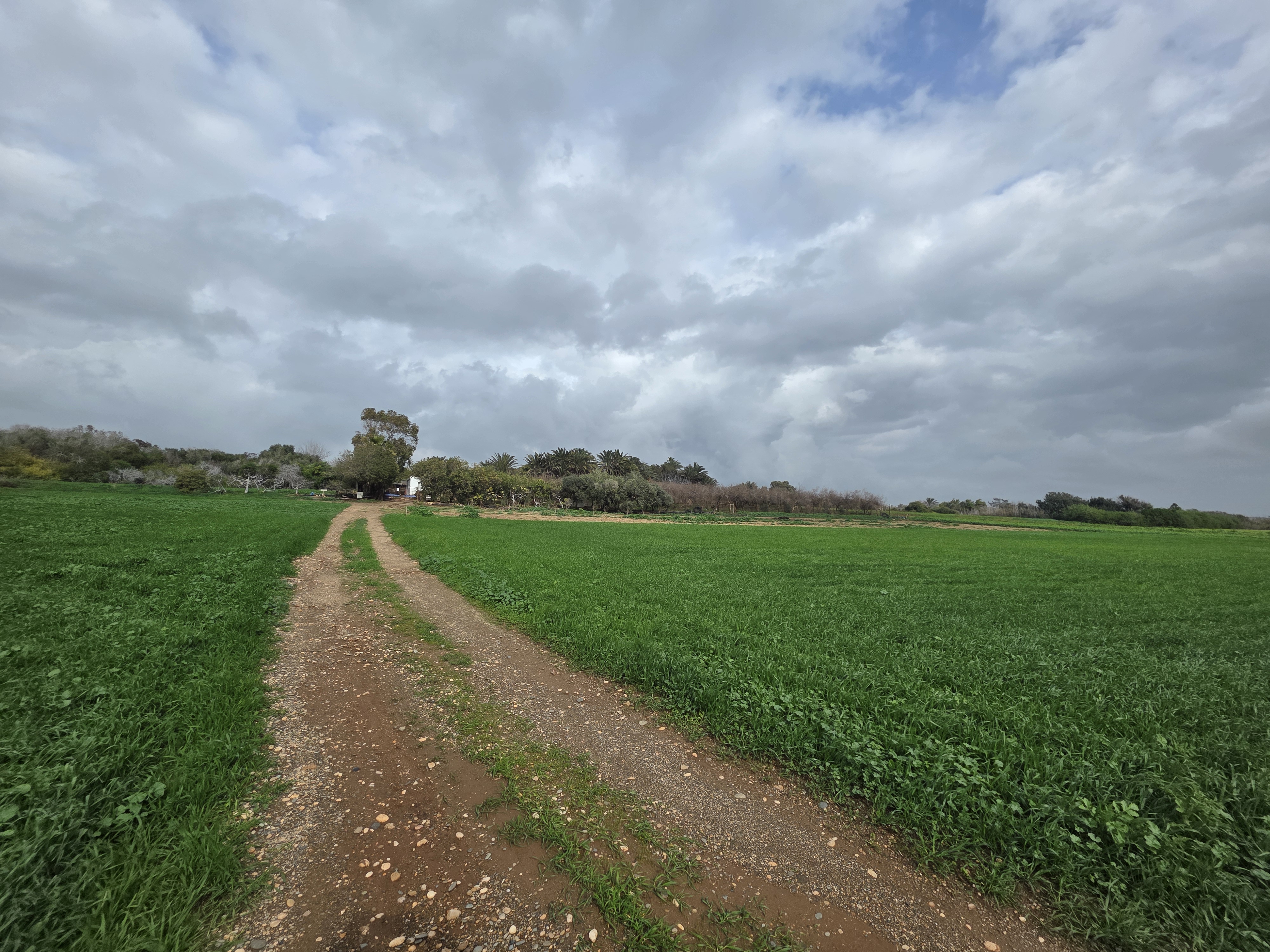 Land in Larnaca № 206174 2