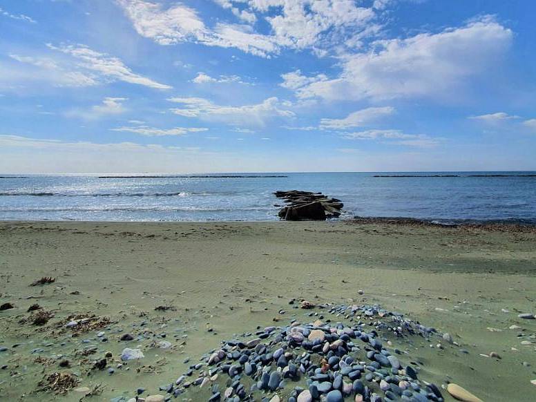 Land in Limassol