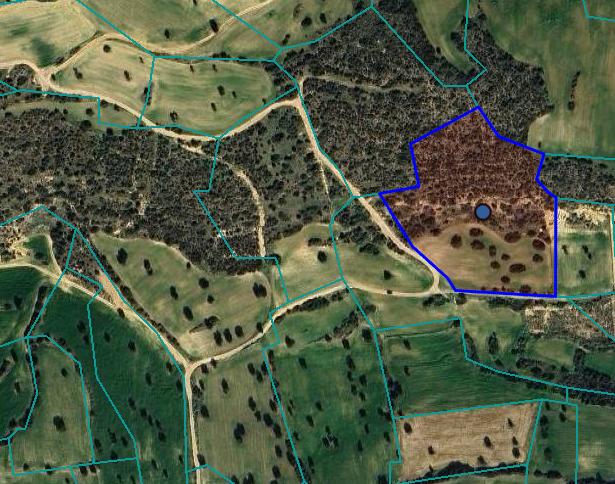 Земля в Ларнаке