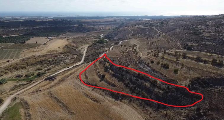 Land in Paphos