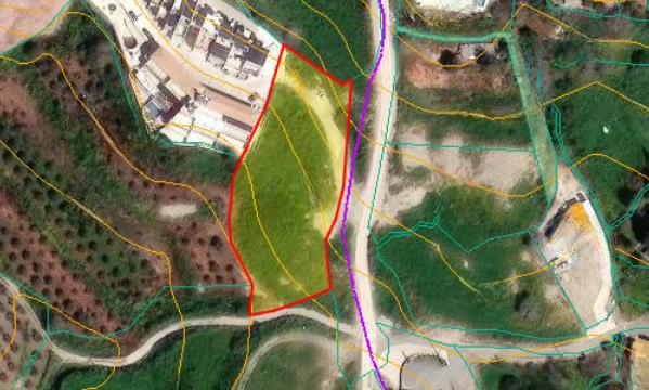 Земля в Пафосе