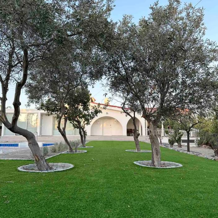 Villa in Limassol