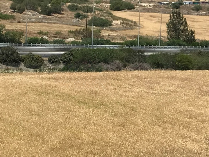 Land in Nicosia