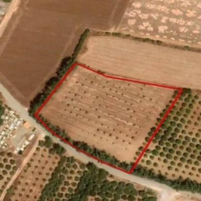 Land in Paphos