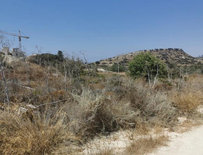 Land in Limassol