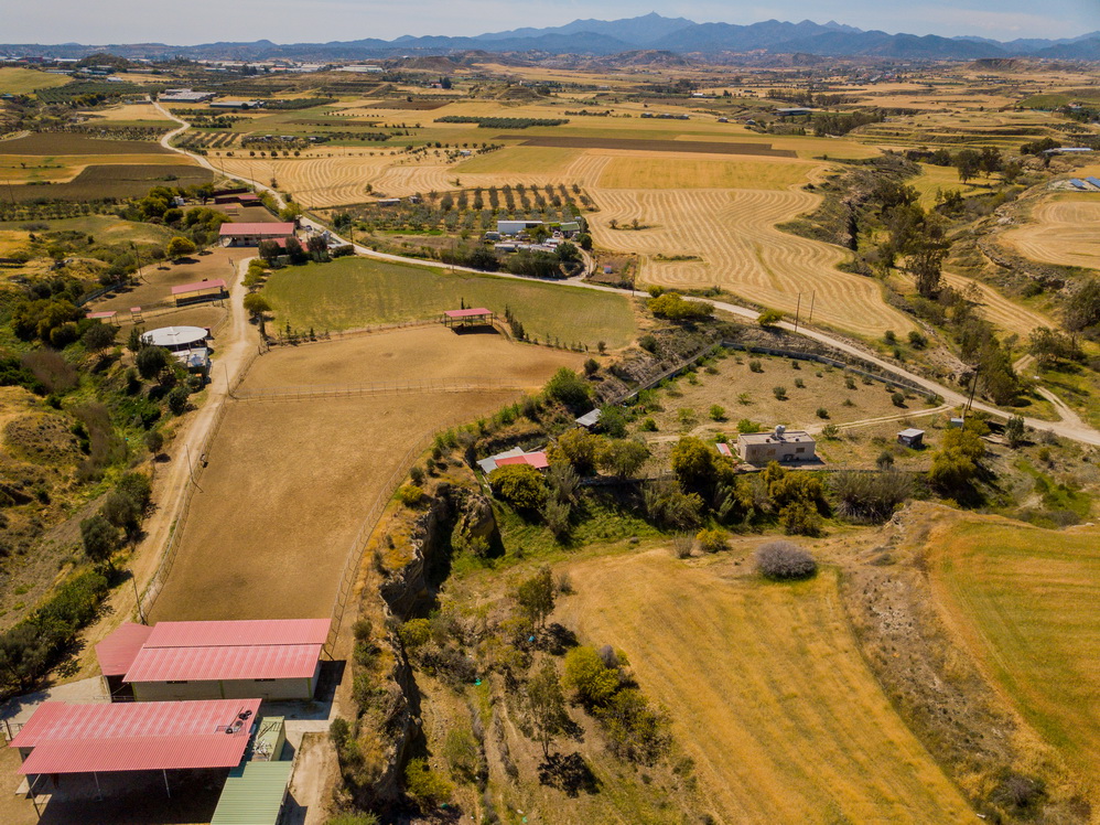 Лицензированная профессиональная конная ферма в Никосии