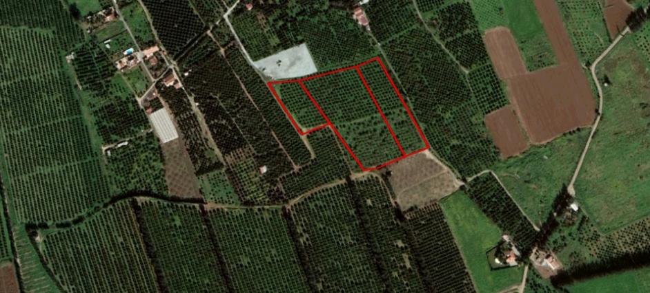 Land in Limassol