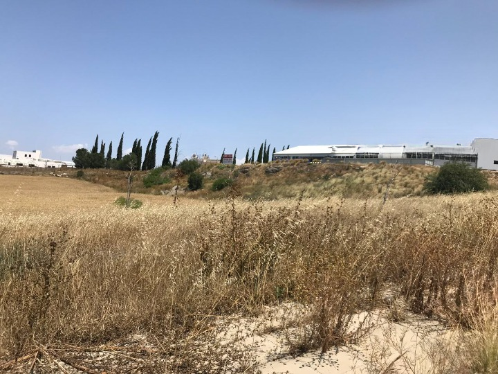 Land in Nicosia