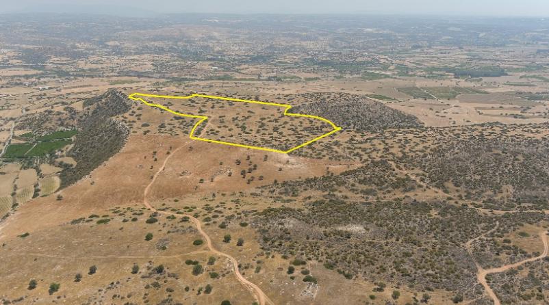 Land in Limassol