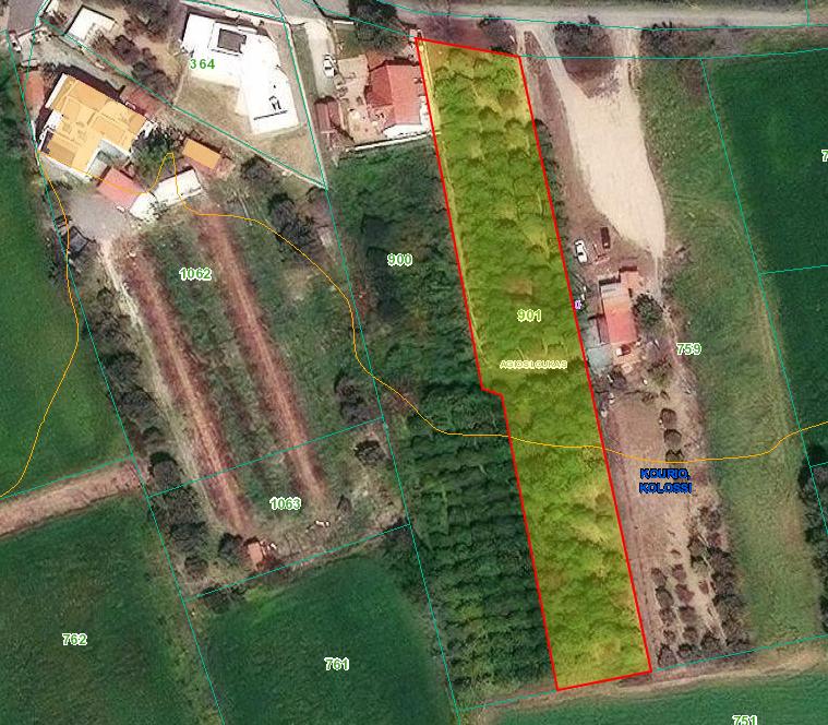 Земля в Лимассоле