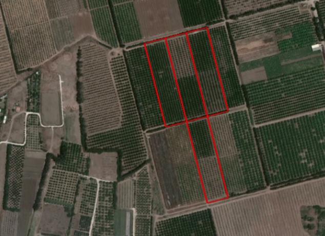 Land in Limassol