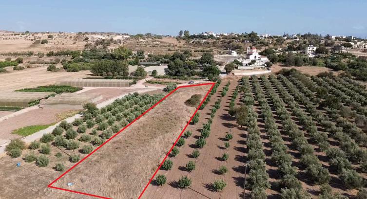 Land in Paphos