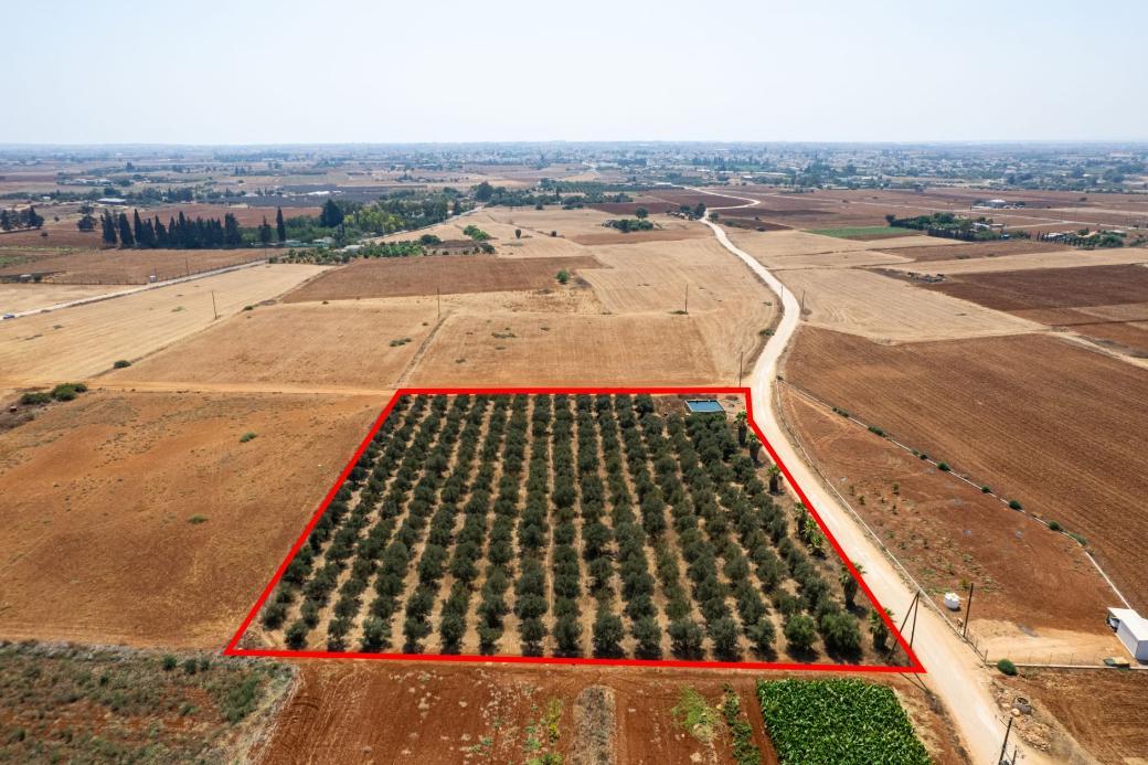 Land in Famagusta