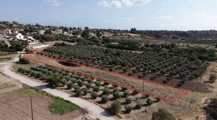 Land in Paphos