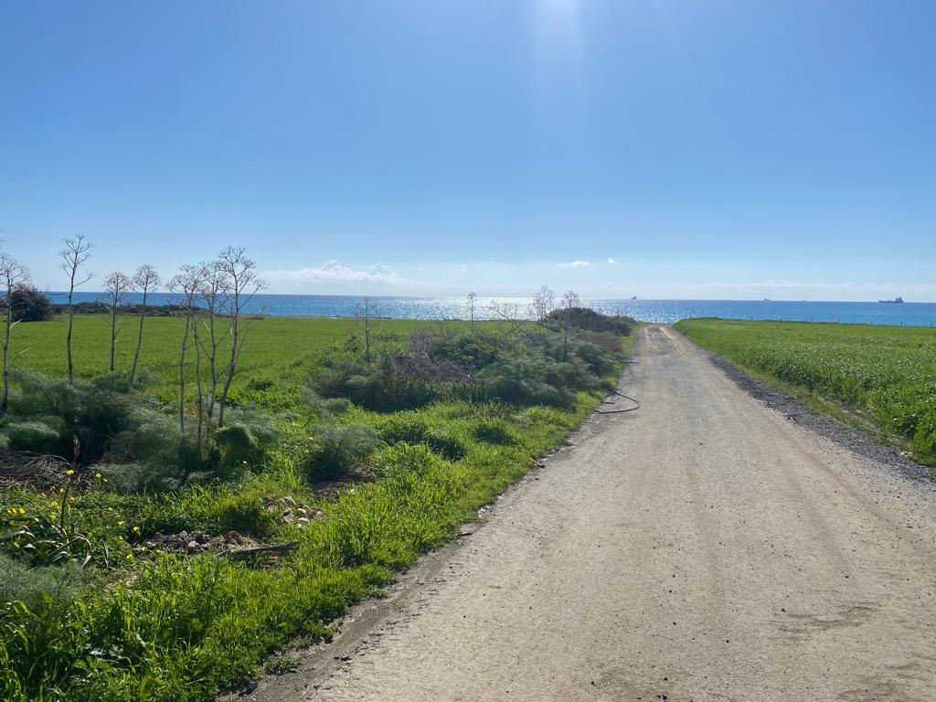 Земля в Ларнаке