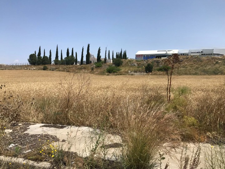 Land in Nicosia