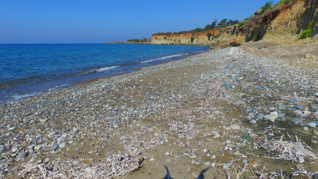 Земля в Пафосе