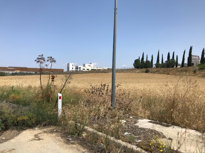 Land in Nicosia