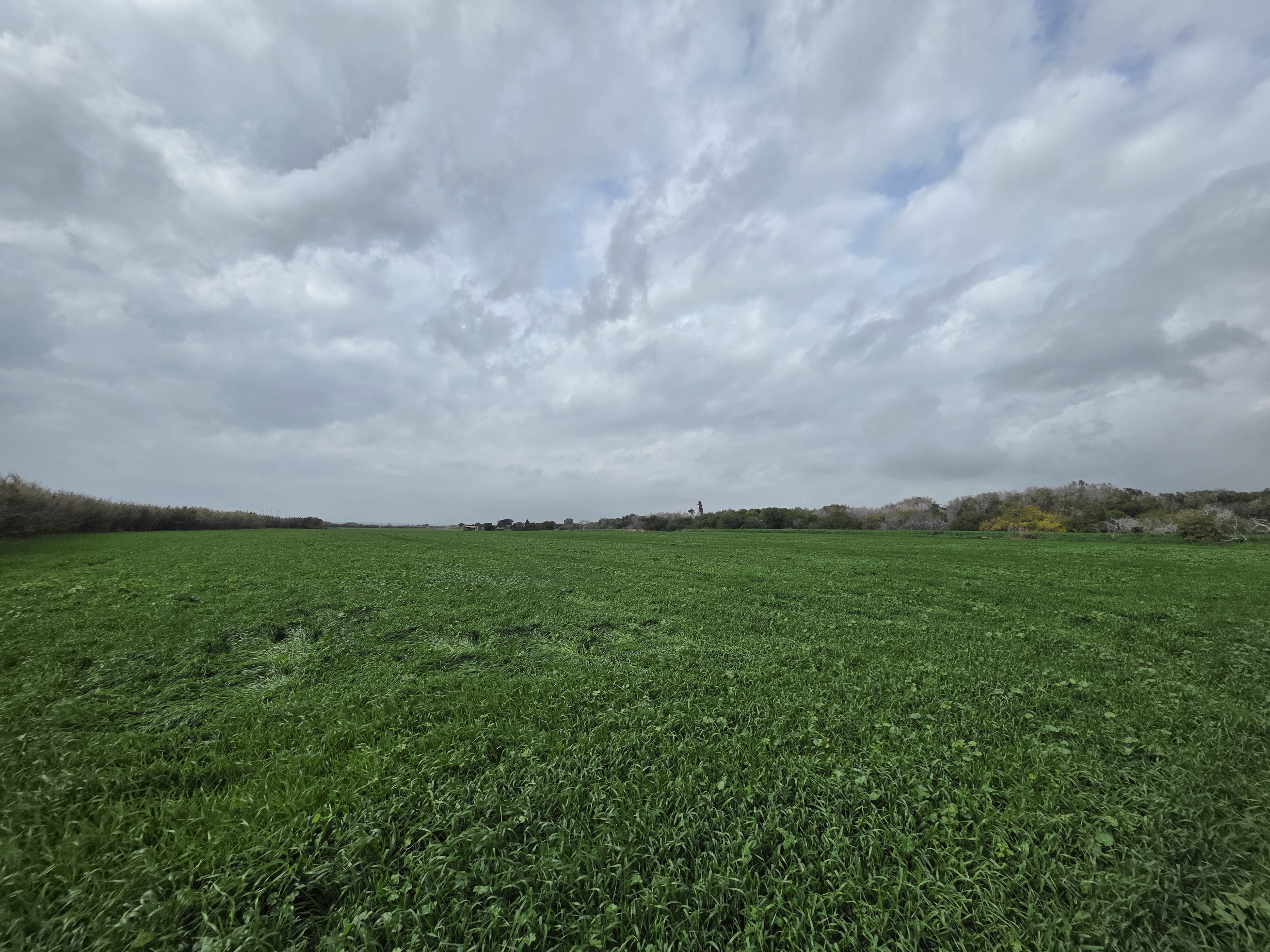 Land in Larnaca № 206174 3