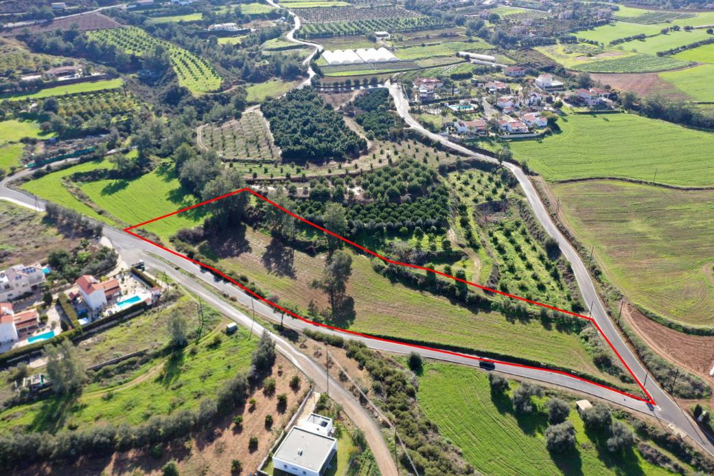 Land in Paphos