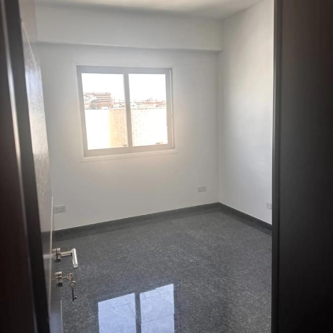 Penthouse in Nicosia