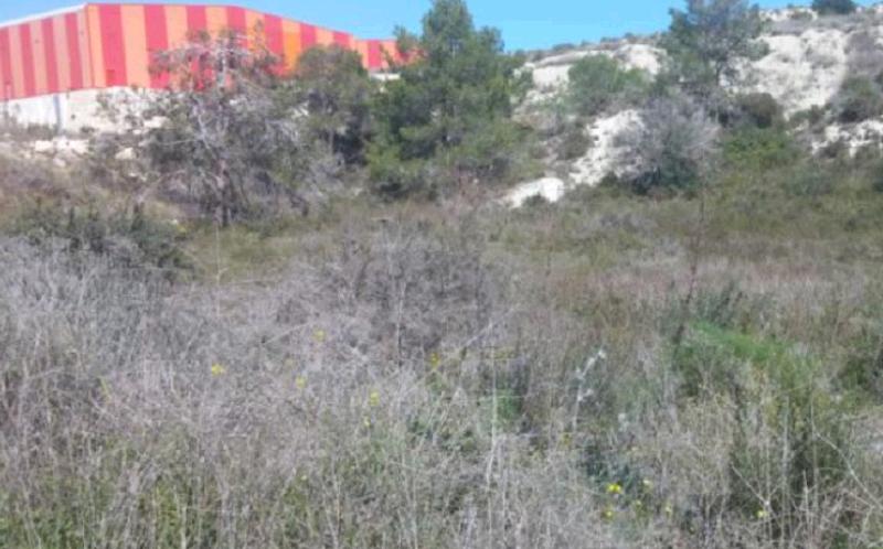Land in Limassol