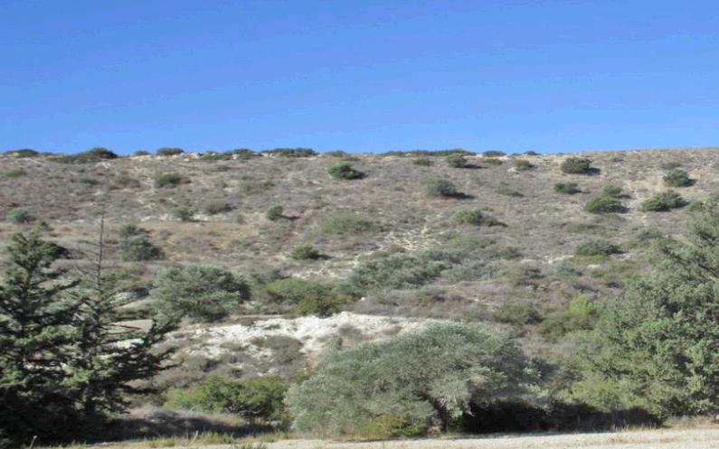 Land in Limassol