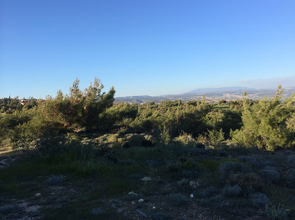 Land in Limassol