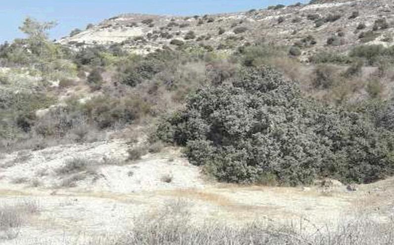 Land in Limassol