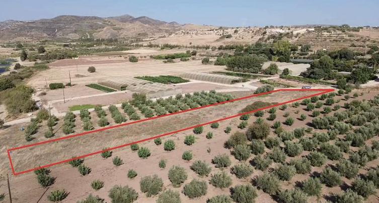 Land in Paphos