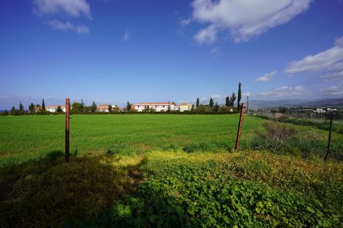 Land in Paphos