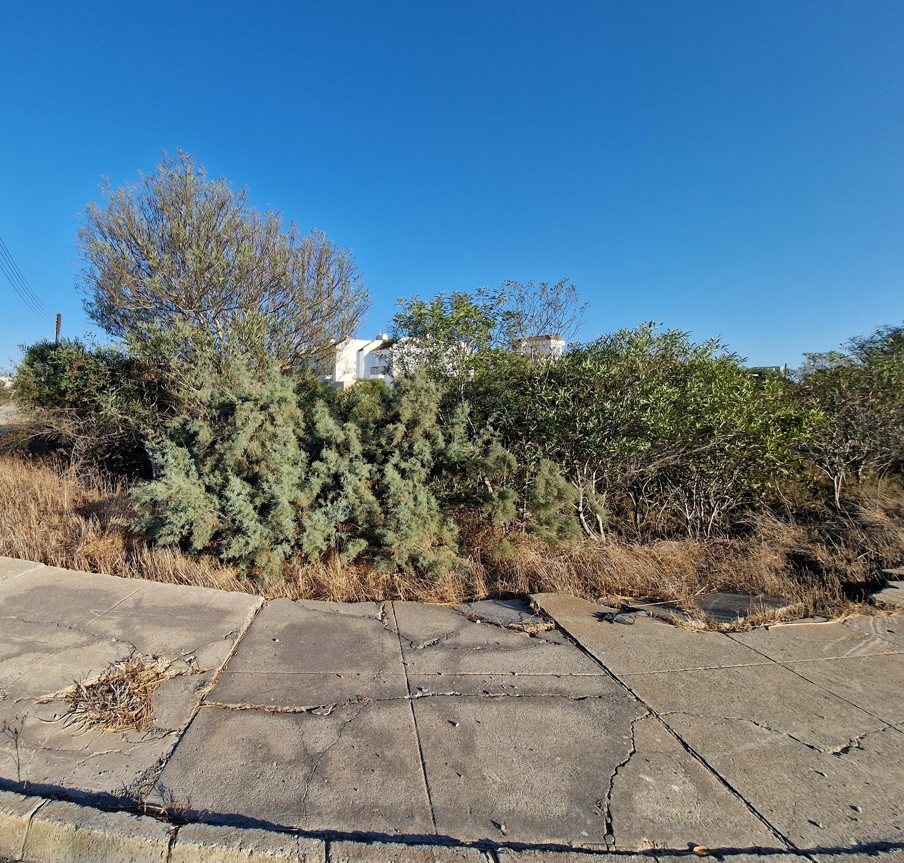 Land in Famagusta № 174276 3