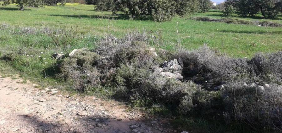 Land in Limassol