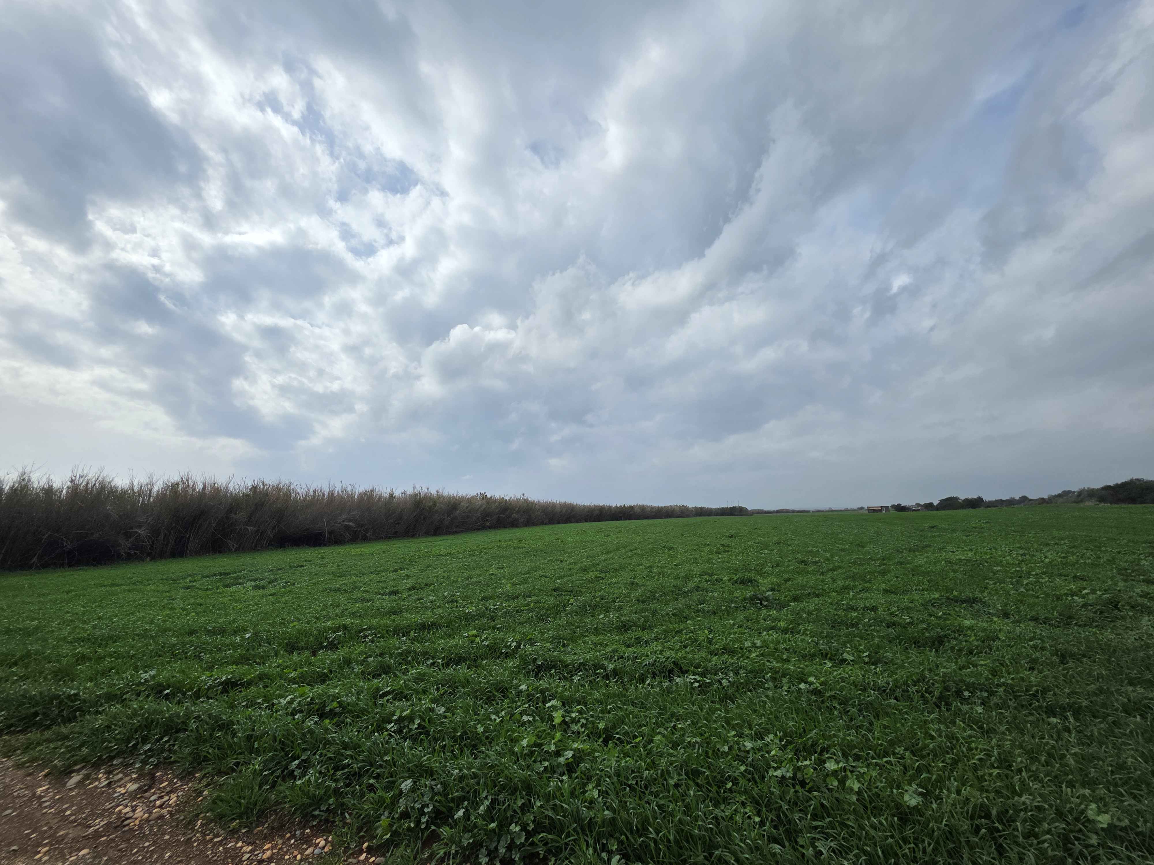 Land in Larnaca № 206175 1