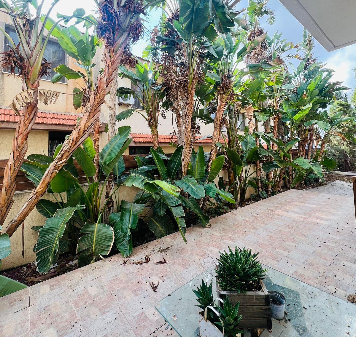 Villa, 4 bedrooms — 19