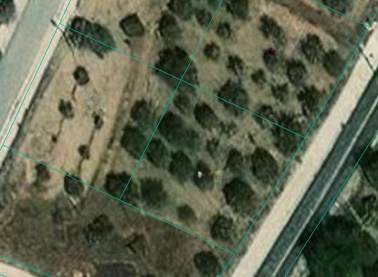 Land in Nicosia