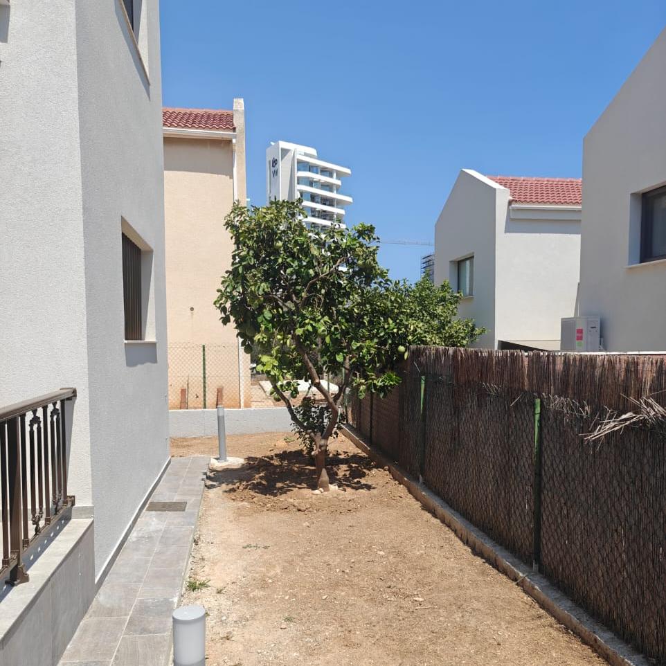 Фото 19 Фото 19