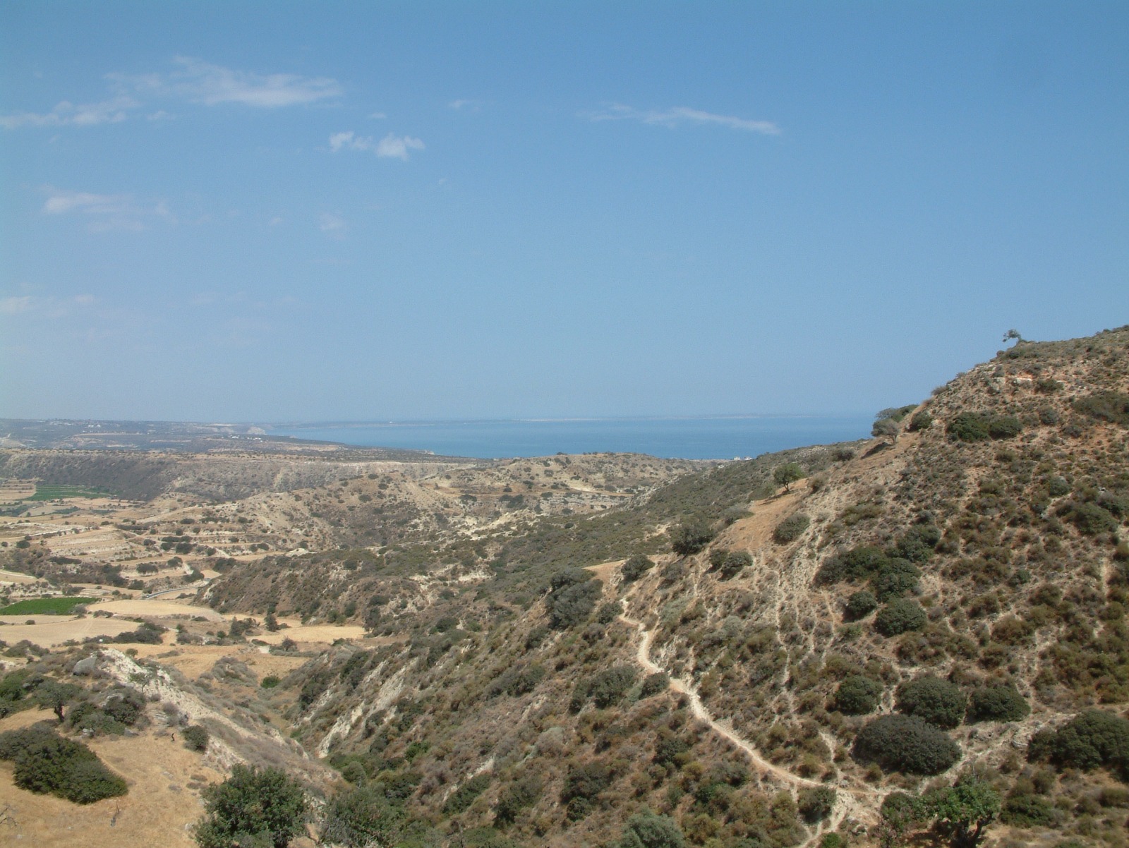 Land in Limassol № 219536 2