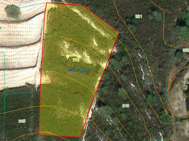 Земля в Лимассоле