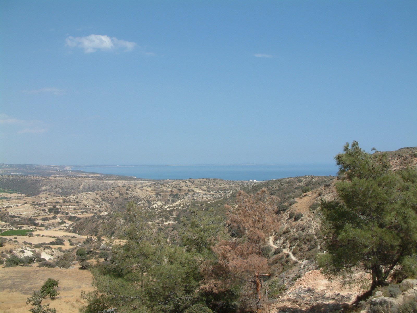 Land in Limassol № 219536 3