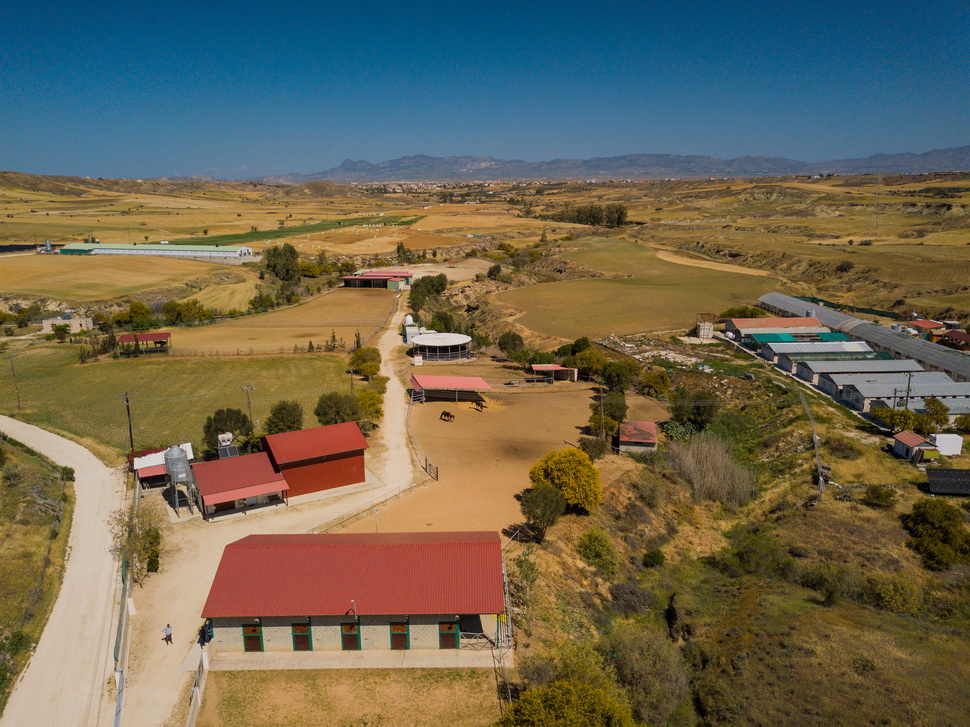 Лицензированная профессиональная конная ферма в Никосии
