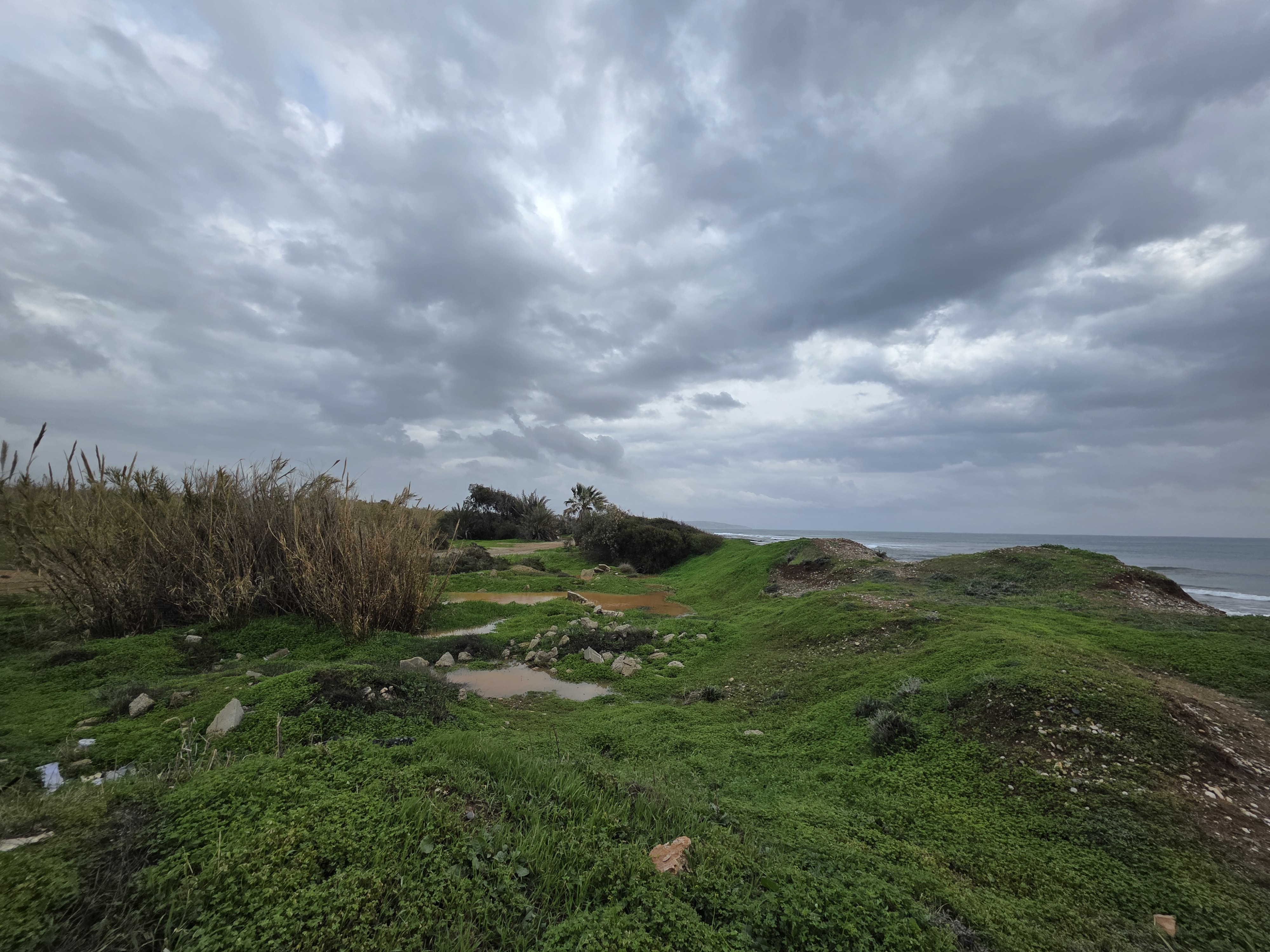 Land in Larnaca № 206175 3