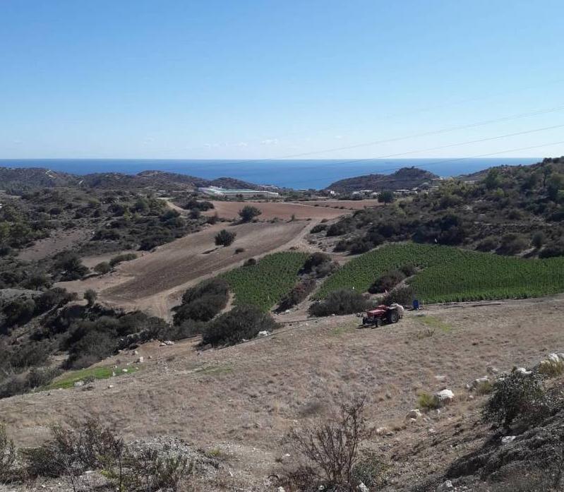 Land in Limassol