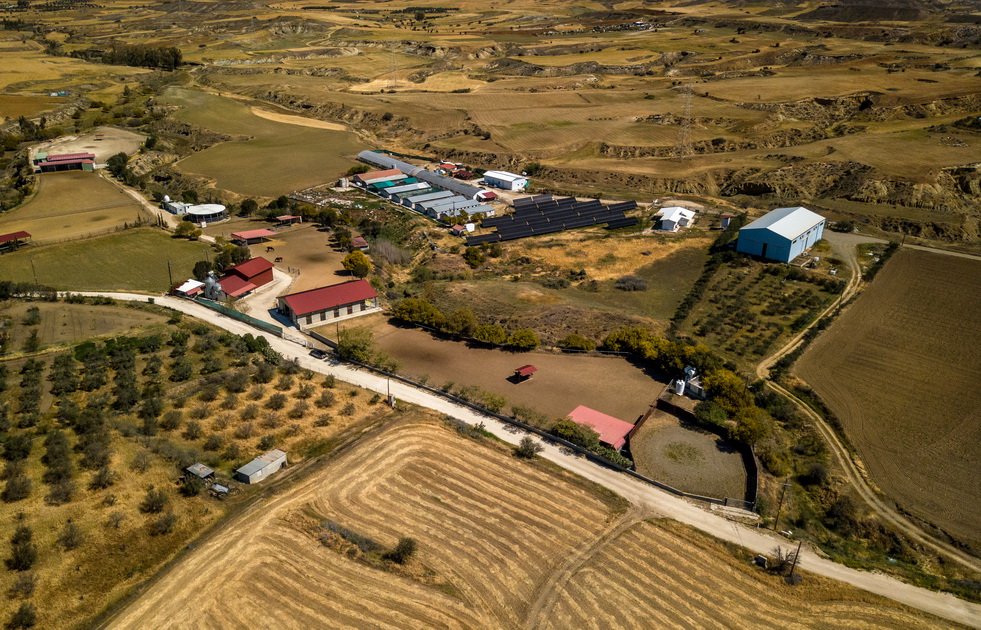 Лицензированная профессиональная конная ферма в Никосии