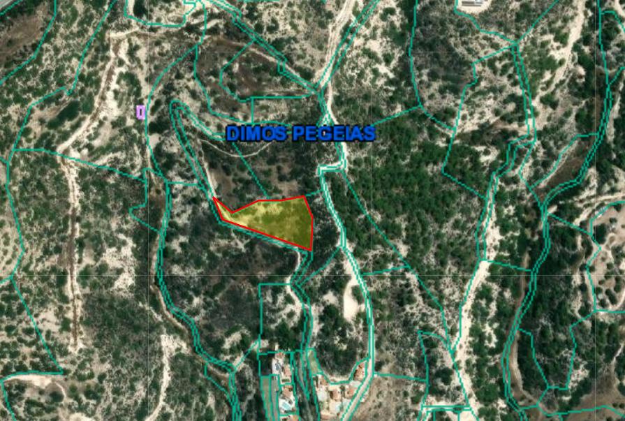 Land in Paphos